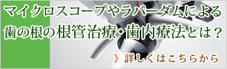マイクロスコープやらバーダムによる歯の根の根管治療・歯内治療とは?